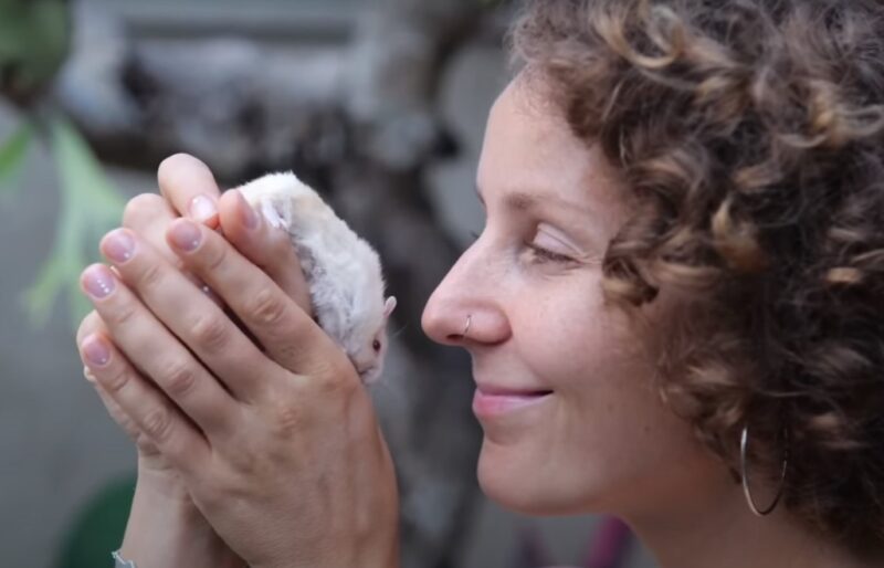 woman hold hamster