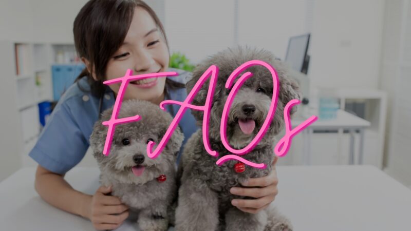 FAQs about Female Dogs