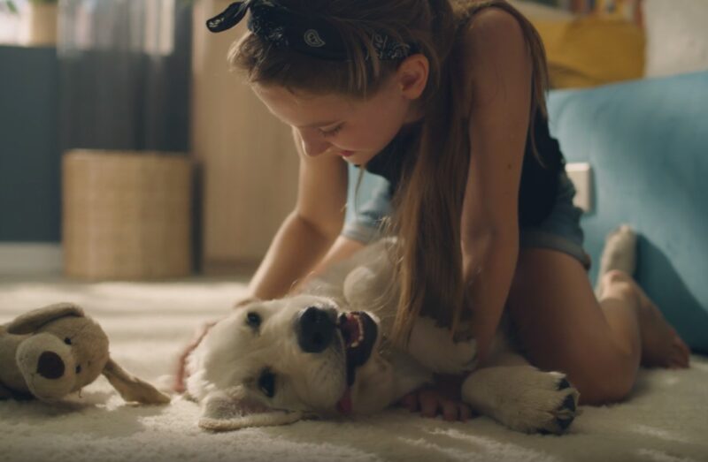 girl playing with dog