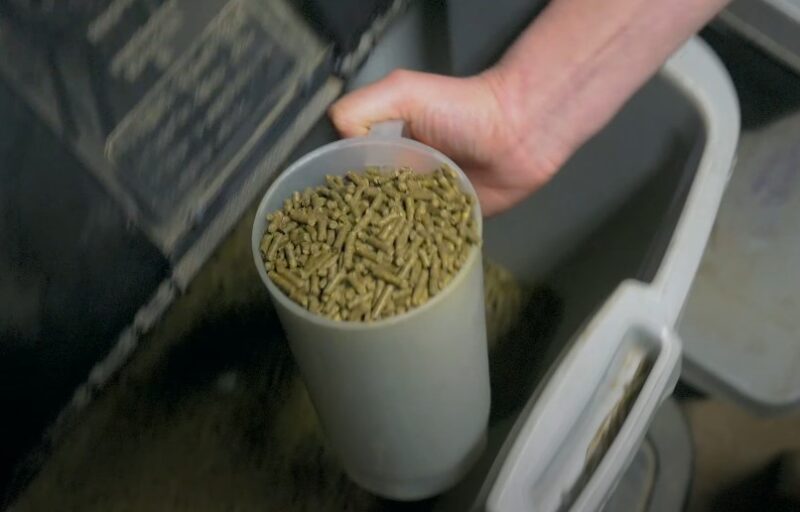 A hand carefully pours feed pellets into a container